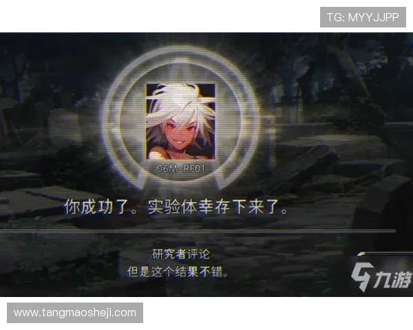 #帕梅介绍（内含闲聊）