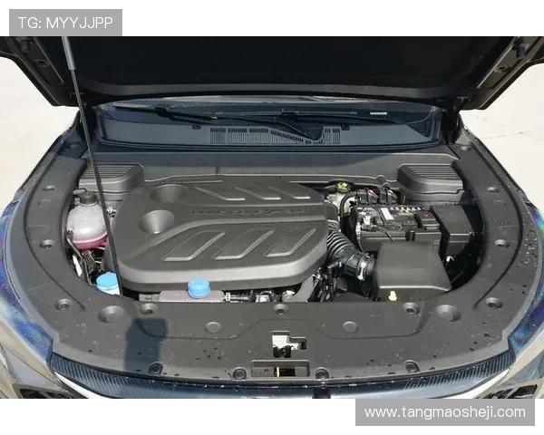 1.5T,179.5马力,最大扭矩300牛米,长安放大招了