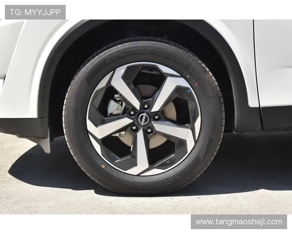 10万元左右买日产逍客，2.0L发动机+独立悬架，稳定可靠的合资SUV