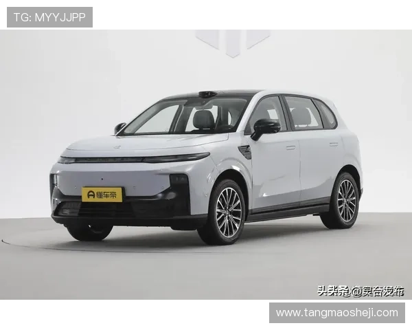 10来万买家用SUV，零跑B10值得考虑吗？看看车主怎么说